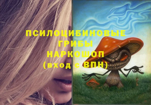 ПСИЛОЦИБИНОВЫЕ ГРИБЫ Зерноград