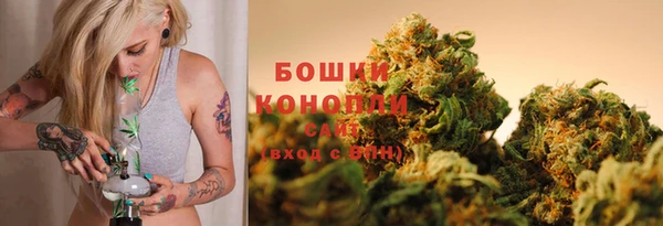 ПСИЛОЦИБИНОВЫЕ ГРИБЫ Зерноград