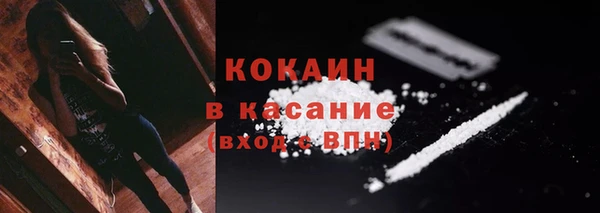 ПСИЛОЦИБИНОВЫЕ ГРИБЫ Зерноград