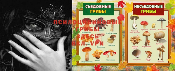 гидра Зеленодольск