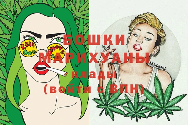 гидра Зеленодольск