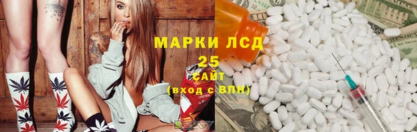 гидра Зеленодольск
