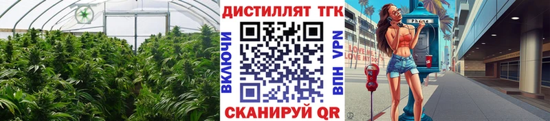 ТГК гашишное масло  Купить где  Калтан 
